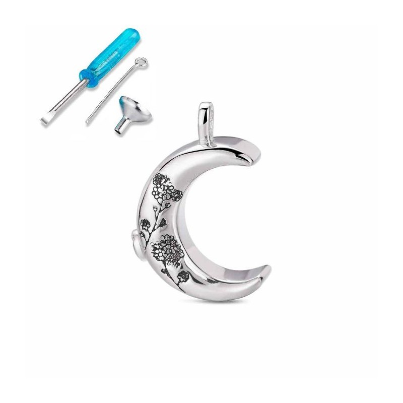 GUARDACENIZAS LUNA PLATA